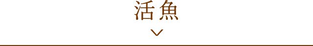 活魚